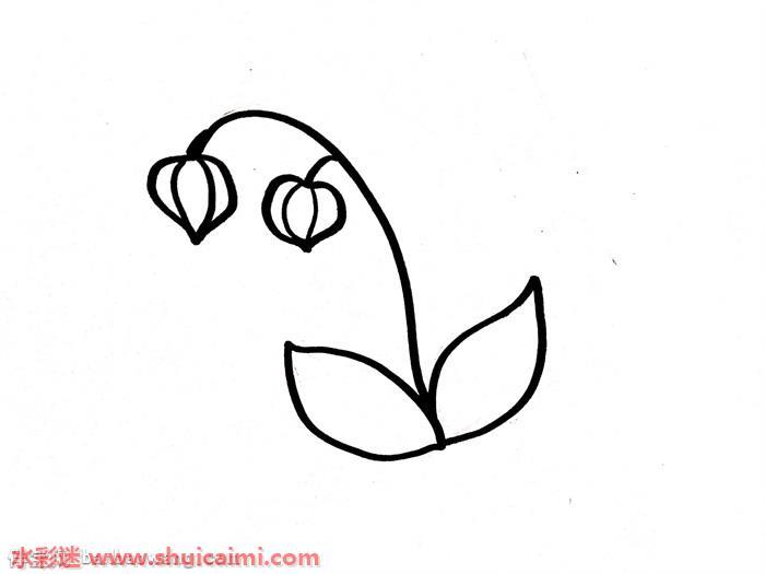灯笼草怎么画 灯笼草简笔画图片带颜色