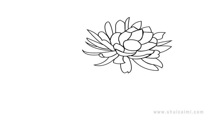 昙花简笔画怎么画 昙花简笔画图片