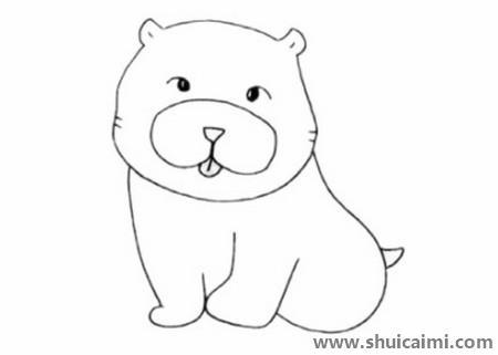 松狮犬儿童简笔画