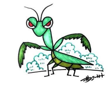 螳螂简笔画 螳螂简笔画简单