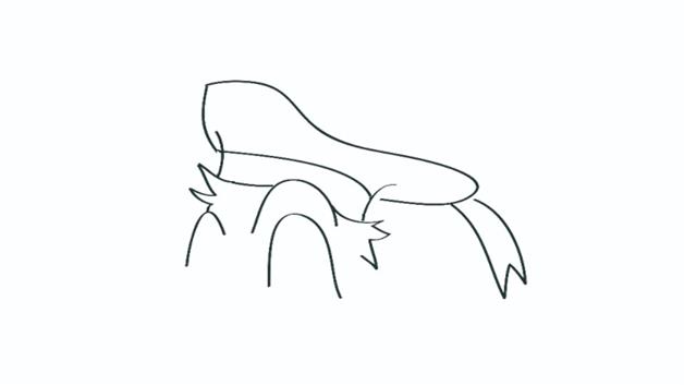 唐老鸭简笔画怎么画 唐老鸭简笔画图片大全