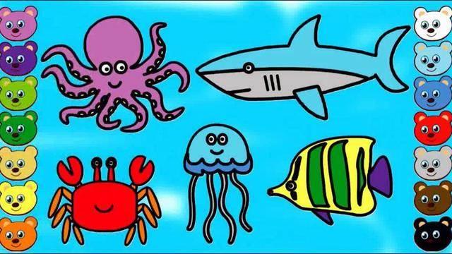 海底小动物简笔画 海底小动物简笔画图片
