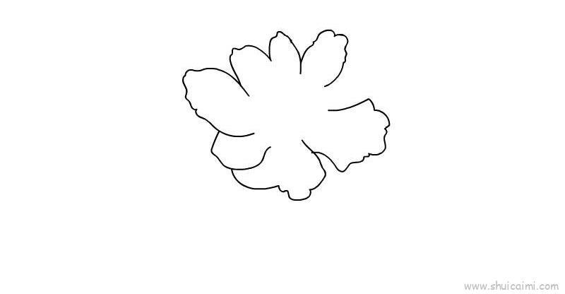 芍药花儿童画怎么画 芍药花简笔画简单又好看