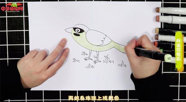 麻雀怎么画 麻雀简笔画简单彩色