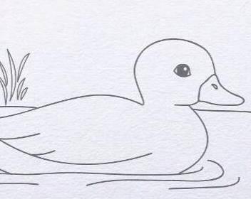 鸭子简笔画 鸭子简笔画简单可爱