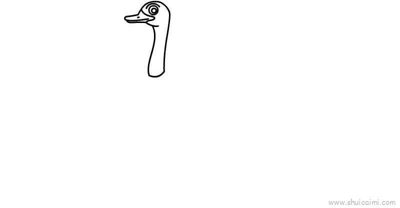 鸵鸟儿童画怎么画 鸵鸟简笔画图片