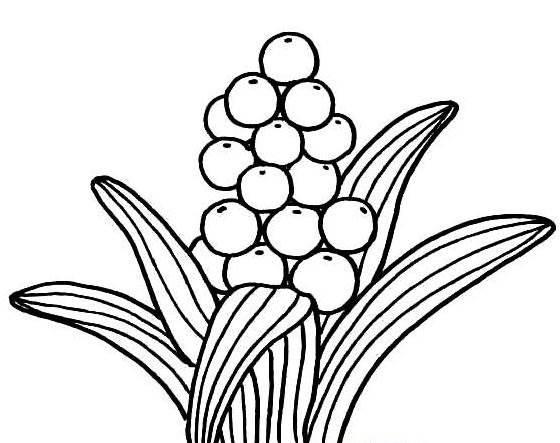 小草简笔画 小草简笔画图片大全大图