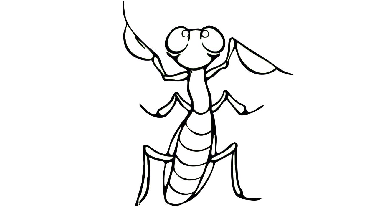 螳螂的简笔画怎么画 螳螂简笔画图片大全