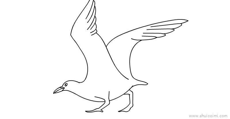 海鸥儿童画怎么画 海鸥简笔画画法
