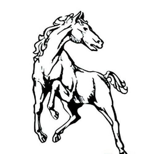 马的简笔画 马的简笔画儿童