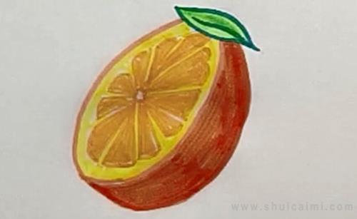 橙子简笔画怎么画 橙子简笔画顺序