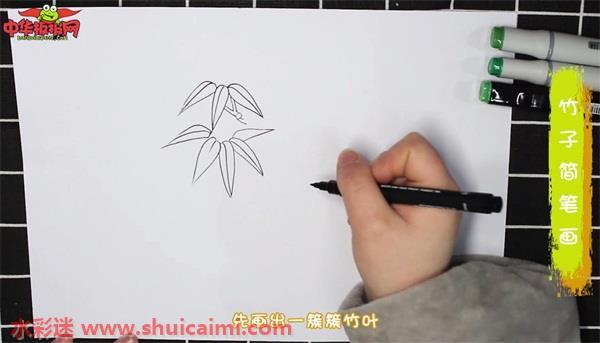 竹子怎么画 竹子简笔画步骤
