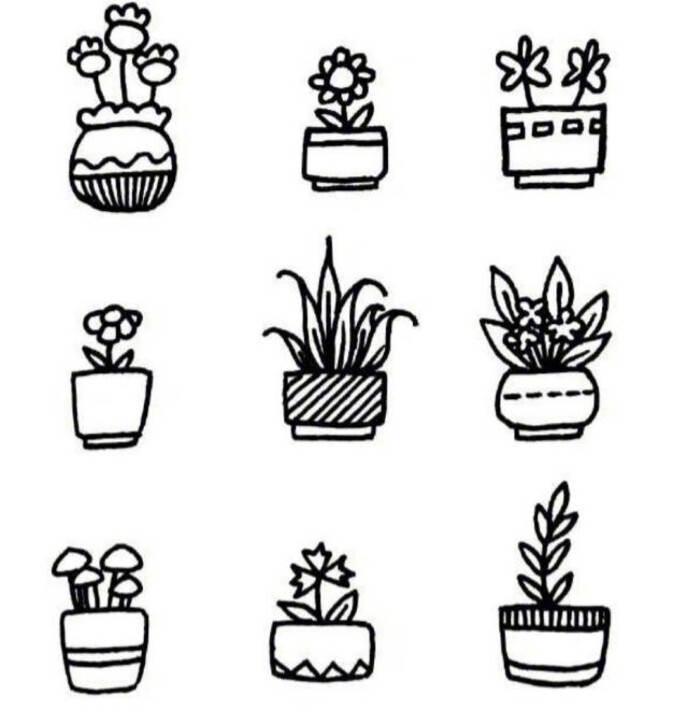 盆栽简笔画 盆栽简笔画图片带颜色