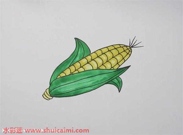 玉米怎么画 玉米简笔画简单易画彩色