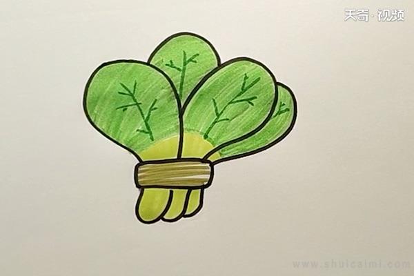 白菜简笔画怎么画 白菜简笔画简单