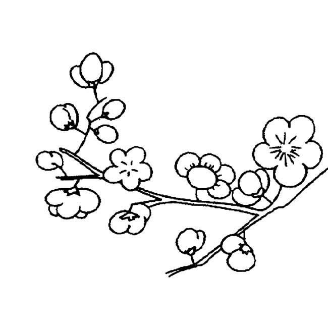 梅花树简笔画 梅花树简笔画手绘