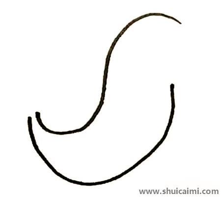 海豹彩色儿童简笔画