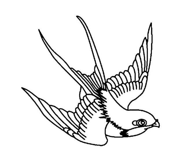 小燕子简笔画 小燕子简笔画图片