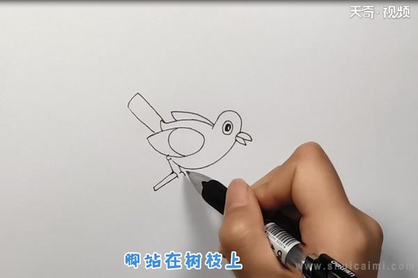 杜鹃简笔画怎么画 杜鹃简笔画图片大全