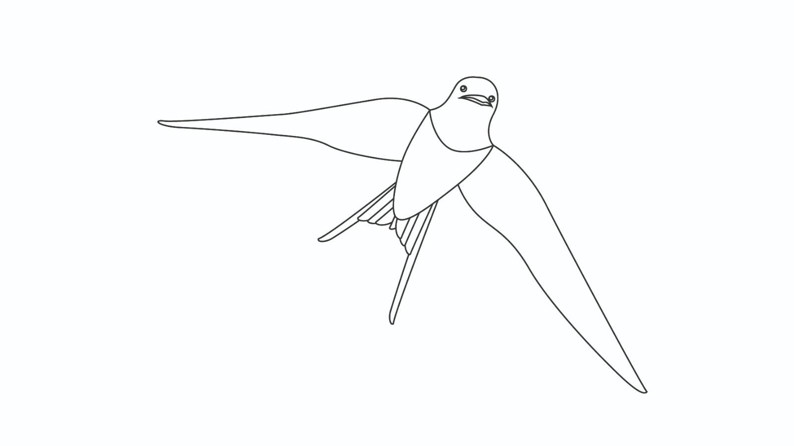 大雁简笔画怎么画 大雁简笔画步骤