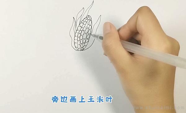 玉米简笔画怎么画 玉米简笔画图片