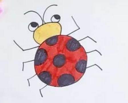 虫简笔画图片大全 甲壳虫简笔画图片大全