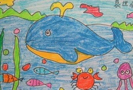 海洋简笔画 海洋简笔画图片带颜色