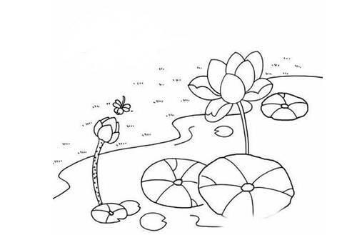 夏天的简笔画图片大全 关于夏天的简笔画图片大全