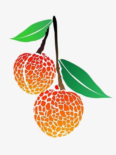 荔枝简笔画 荔枝简笔画简单又漂亮