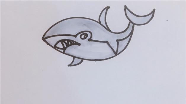 大白鲨简笔画怎么画 大白鲨简笔画顺序