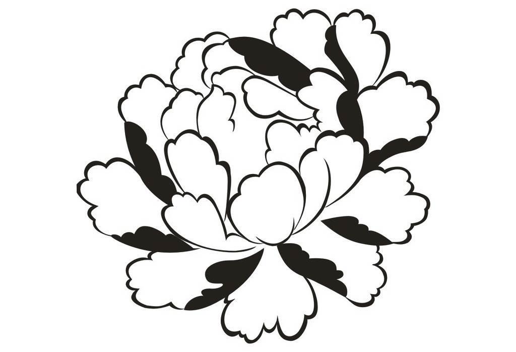 牡丹花的简笔画 牡丹花的简笔画简单漂亮