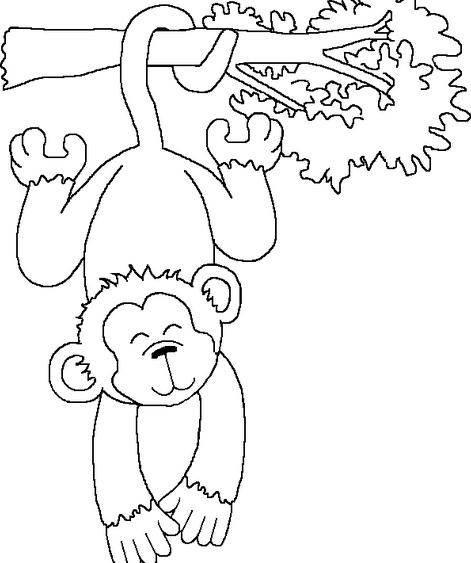 猴简笔画 狗简笔画彩色