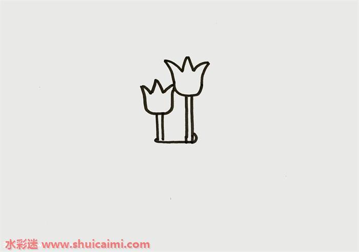 盆栽郁金香怎么画 盆栽郁金香简笔画步骤