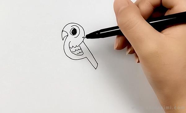 宠物鸟简笔画怎么画 宠物鸟简笔画顺序