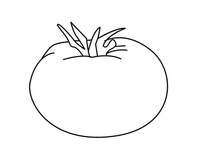 蔬菜简笔画图片大全 蔬菜简笔画图片大全简单颜色