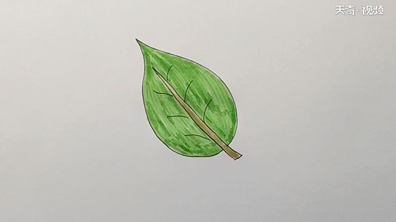 树叶简笔画怎么画 树叶简笔画简单又好看