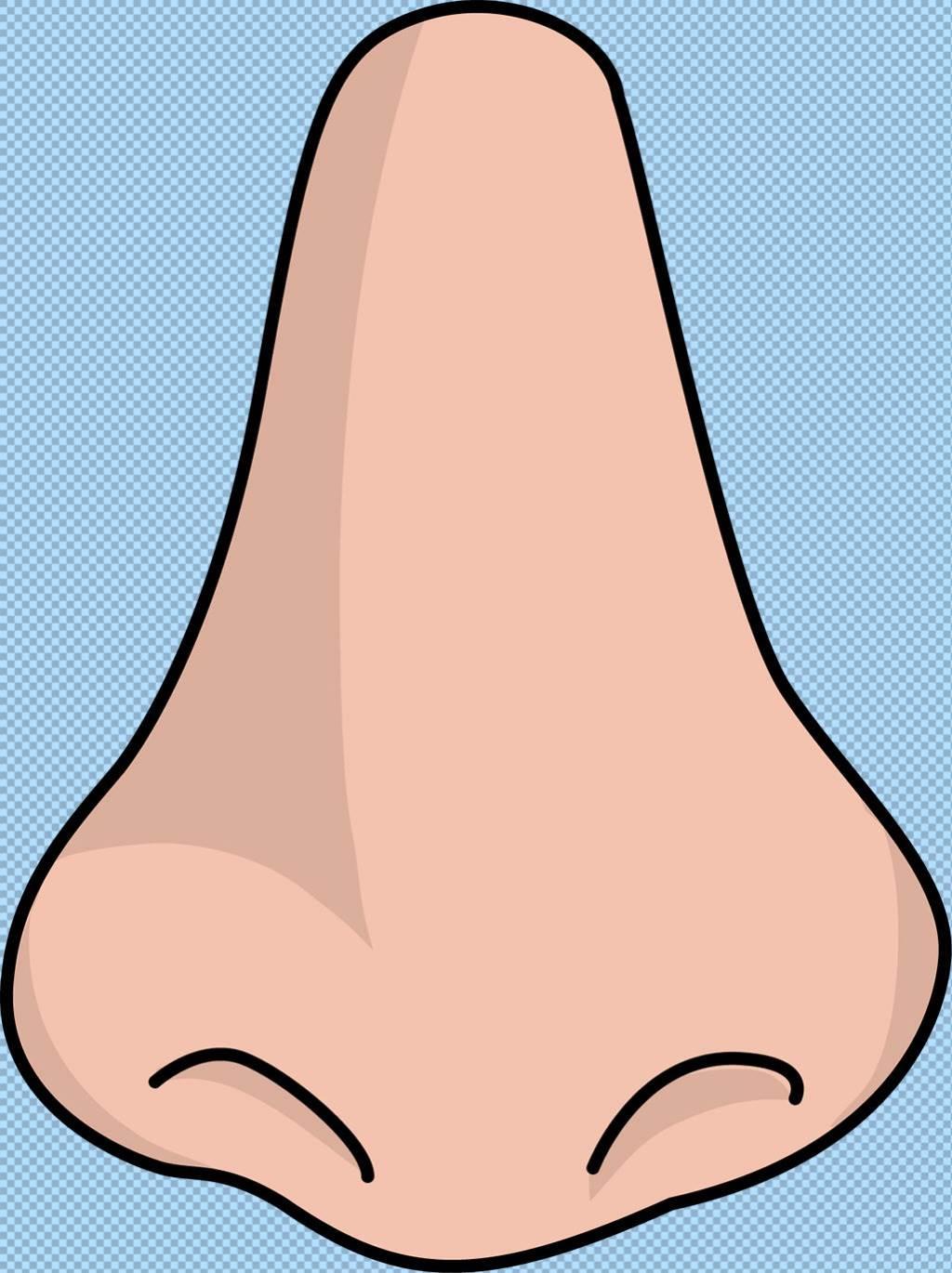 鼻子简笔画 鼻子简笔画卡通可爱