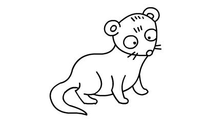 貂的简笔画怎么画 水貂简笔画
