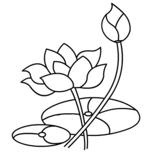 荷花的简笔画 荷花的简笔画简单漂亮