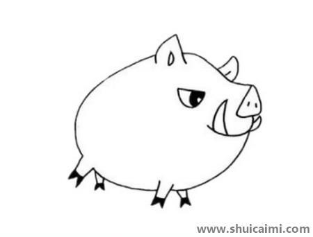 可爱野猪儿童简笔画