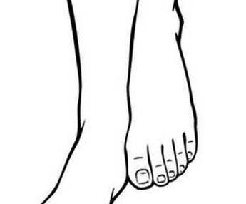 脚的简笔画图片大全 脚的简笔画图片大全可爱