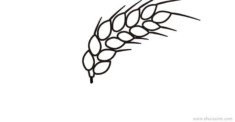 麦穗儿童画怎么画 麦穗简笔画简单