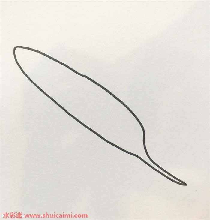 羽毛怎么画 羽毛简笔画步骤