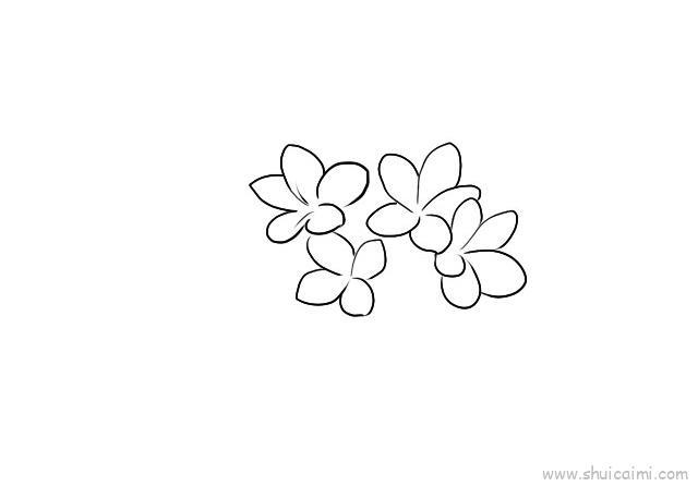 鸡蛋花儿童画怎么画 鸡蛋花简笔画步骤