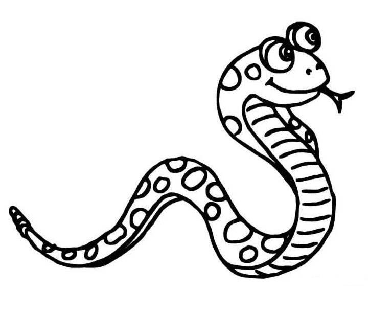 简笔画蛇 简笔画蛇图片