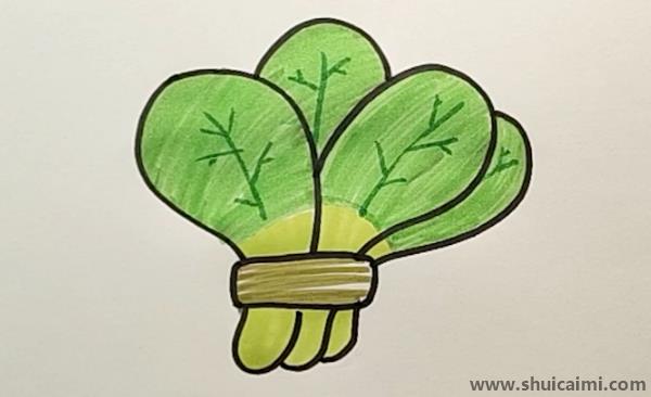 小白菜儿童画怎么画 小白菜简笔画简单又好看