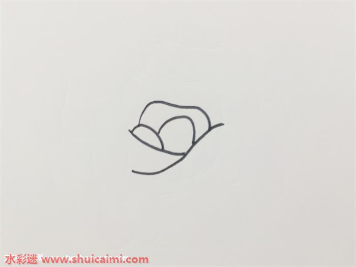 盛开玫瑰花怎么画 盛开玫瑰花简笔画步骤图