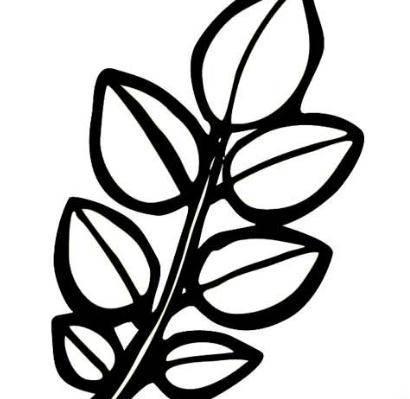简笔画树叶 简笔画树叶边框