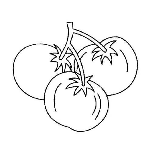番茄简笔画 番茄简笔画图片画法