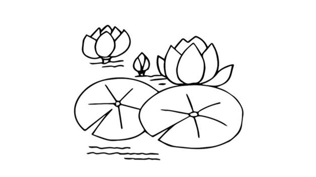 睡莲简笔画怎么画 睡莲简笔画顺序